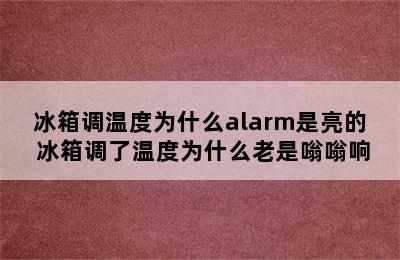 冰箱调温度为什么alarm是亮的 冰箱调了温度为什么老是嗡嗡响